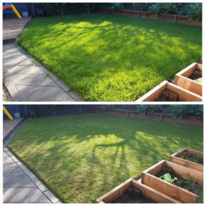 001 - Lawns - 001