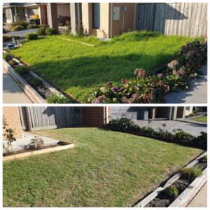 001 - Lawns - 003