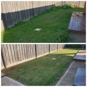 001 - Lawns - 005