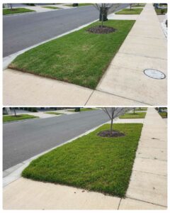 001 - Lawns - 006