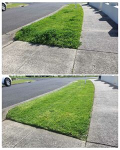 001 - Lawns - 012