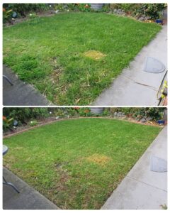 001 - Lawns - 014