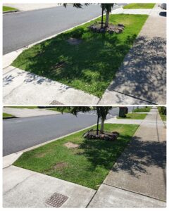 001 - Lawns - 015