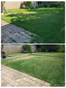 001 - Lawns - 018