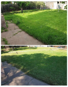001 - Lawns - 021