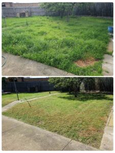 001 - Lawns - 022