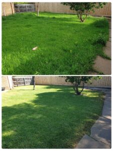 001 - Lawns - 024