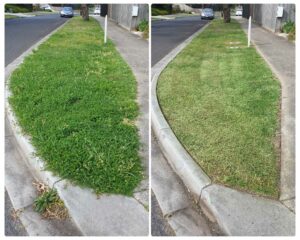 001 - Lawns - 029