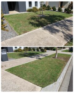 001 - Lawns - 031
