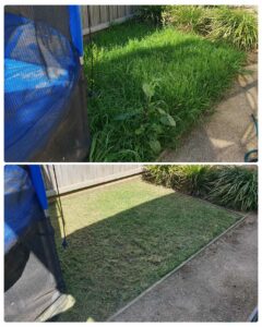 001 - Lawns - 032