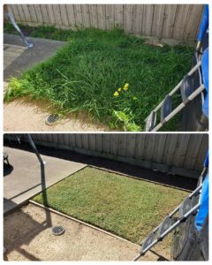 001 - Lawns - 033