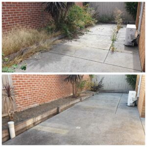 002 - Garden - 002