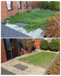002 - Garden - 008
