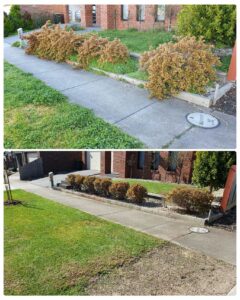 002 - Garden - 010