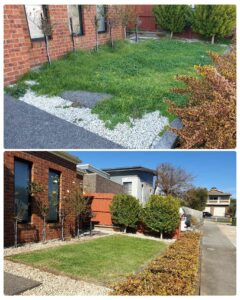 002 - Garden - 011