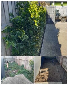002 - Garden - 012