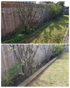 002 - Garden - 016