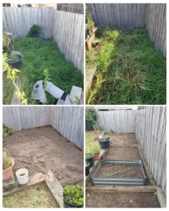 002 - Garden - 018