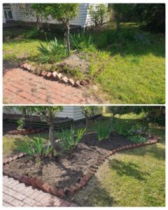 002 - Garden - 020