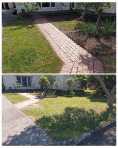 002 - Garden - 023