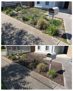 002 - Garden - 031