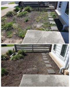 002 - Garden - 032