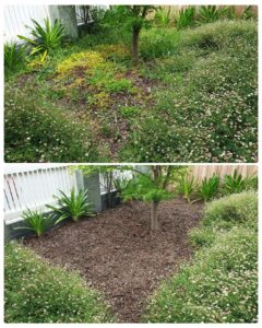 002 - Garden - 035