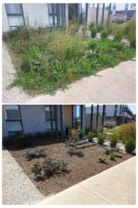 002 - Garden - 037