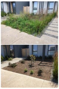 002 - Garden - 038