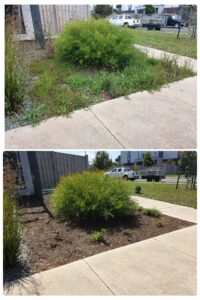 002 - Garden - 039