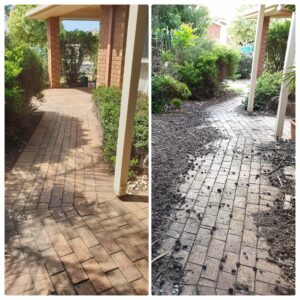 002 - Garden - 040