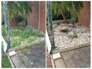 002 - Garden - 043