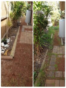 002 - Garden - 046