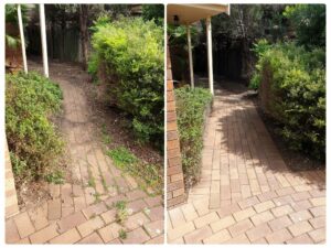 002 - Garden - 047