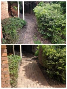 002 - Garden - 048