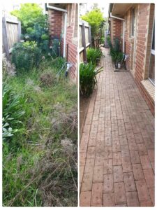 002 - Garden - 053