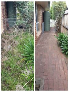 002 - Garden - 055