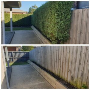 004 - Hedge - 005