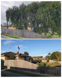 004 - Hedges - 007