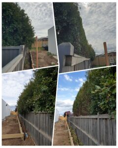 004 - Hedges - 008