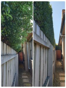 004 - Hedges - 011